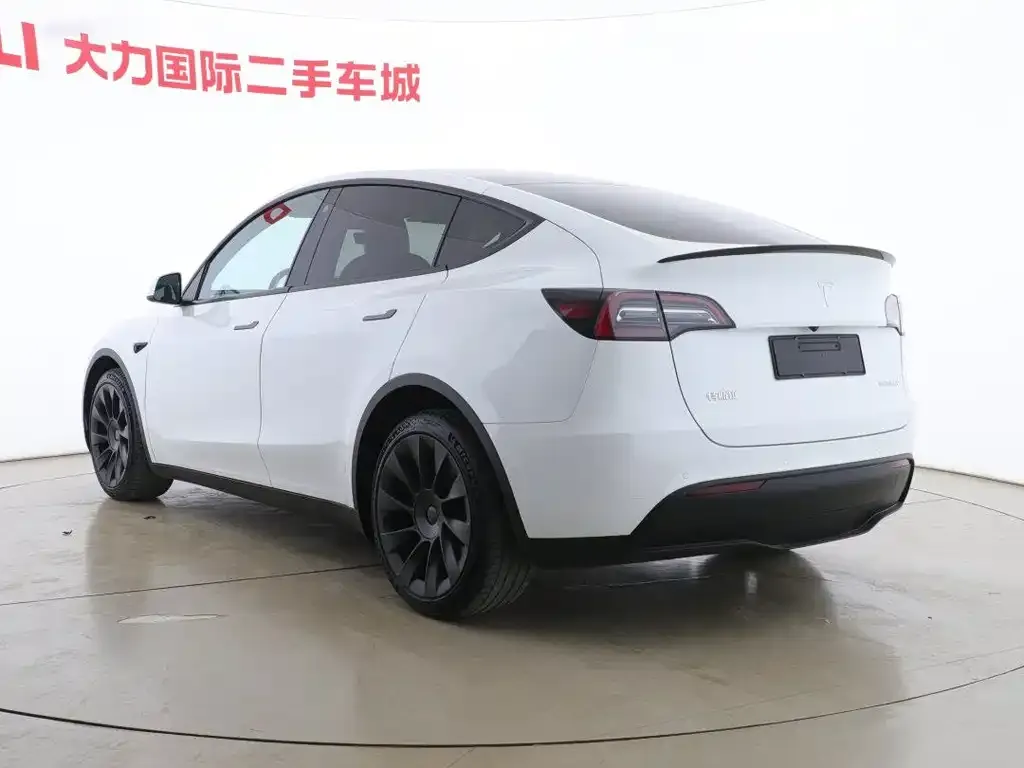 Tesla Model Y 2021 из CN, фото 2