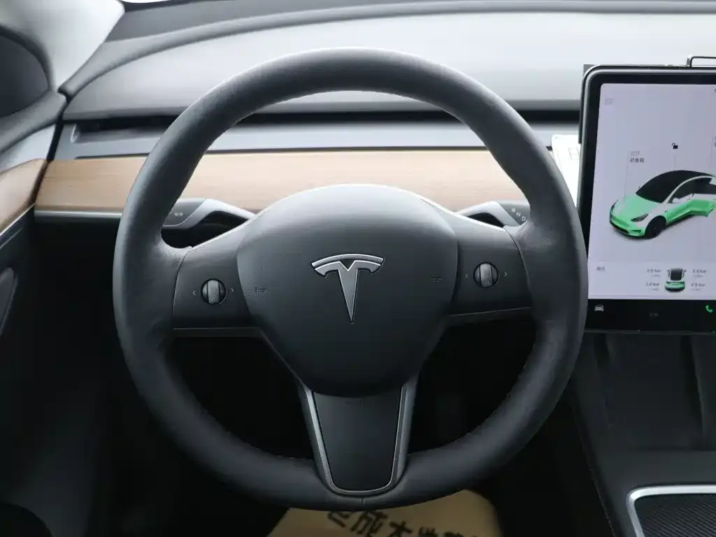 Tesla Model Y 2021 из CN, фото 7