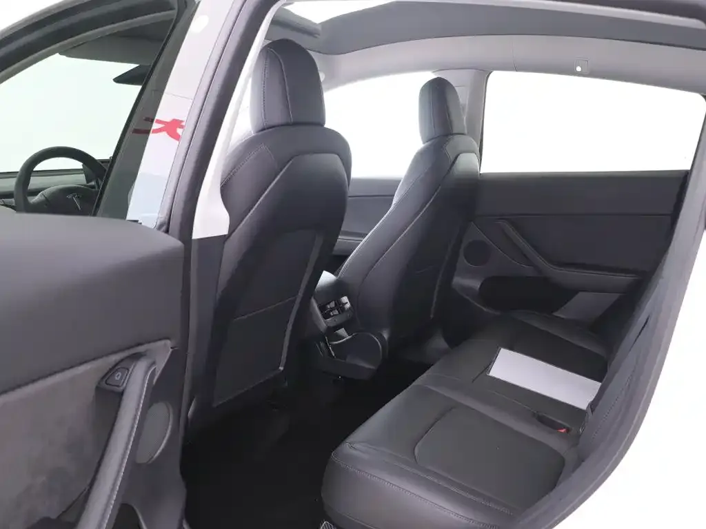 Tesla Model Y 2021 из CN, фото 4