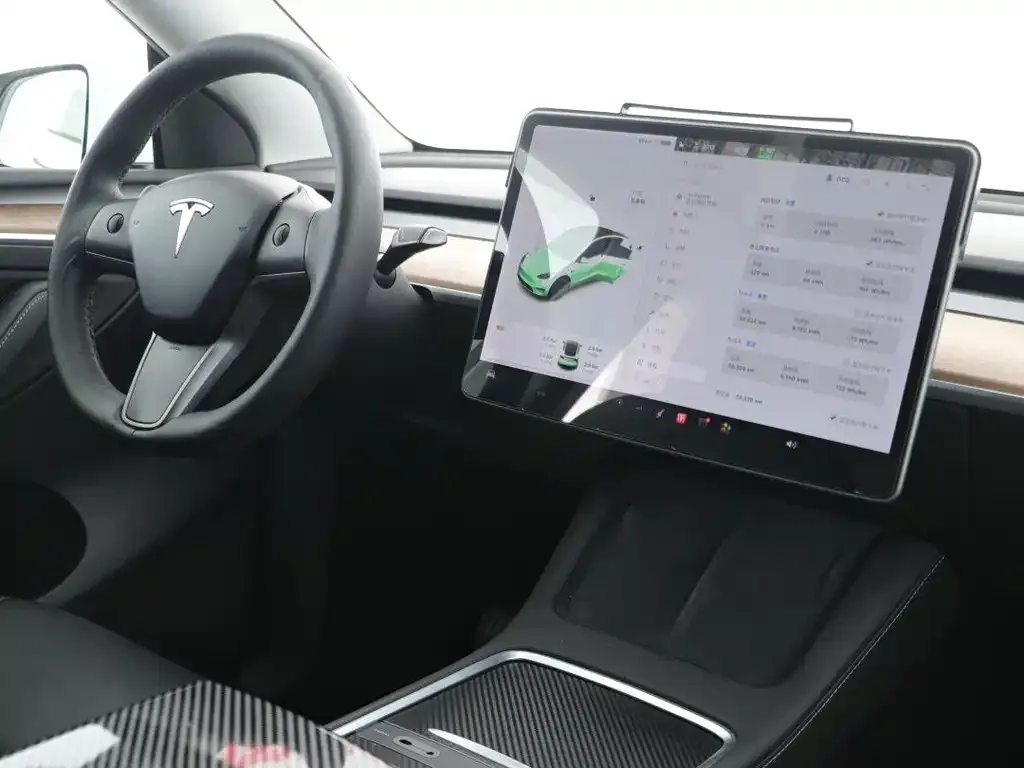 Tesla Model Y 2021 из CN, фото 8