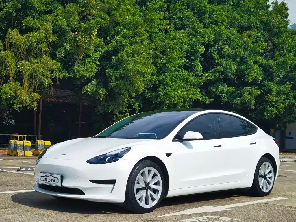 Tesla Model 3 2022 из CN, фото 1
