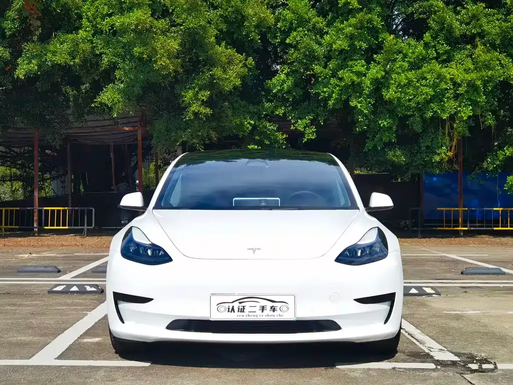 Tesla Model 3 2022 из CN, фото 2