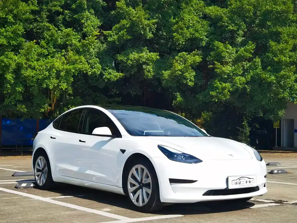 Tesla Model 3 2022 из CN, фото 3