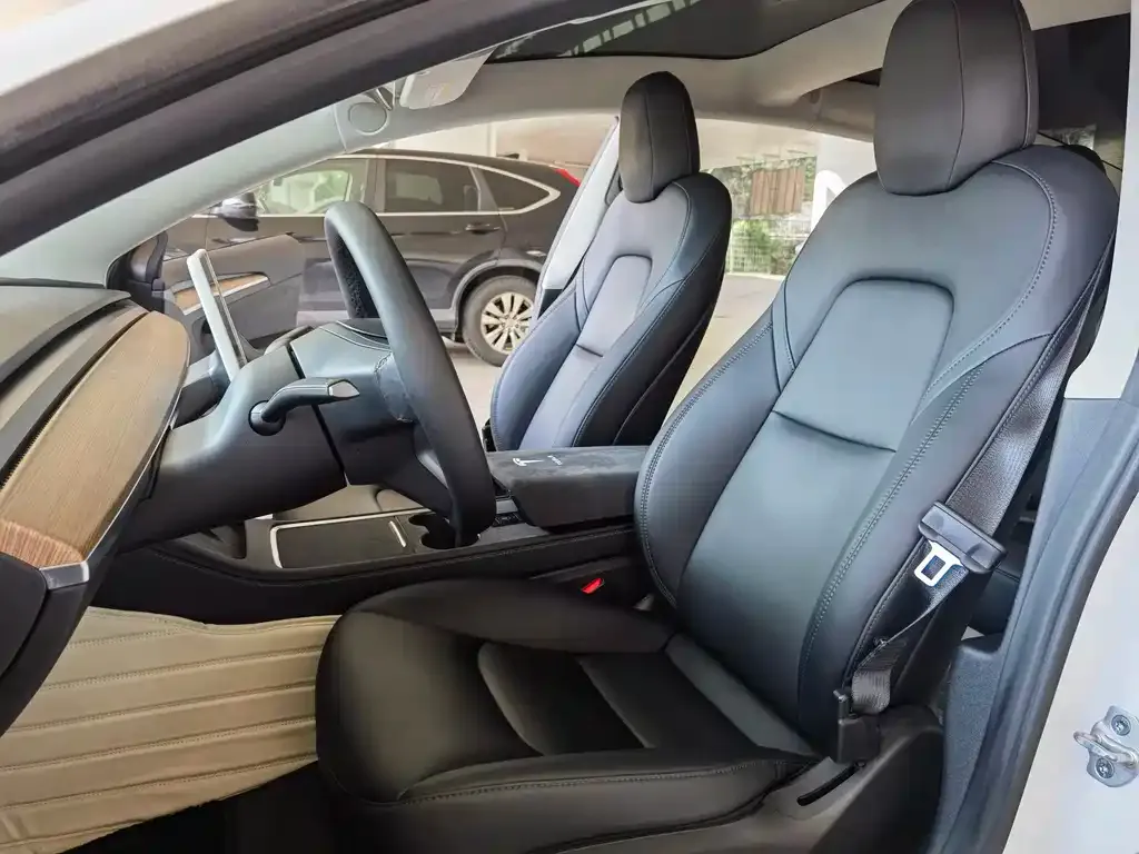 Tesla Model 3 2022 из CN, фото 5