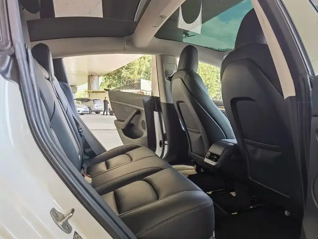 Tesla Model 3 2022 из CN, фото 9