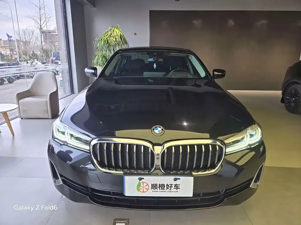 BMW 5 Series 2021 из CN, фото 8