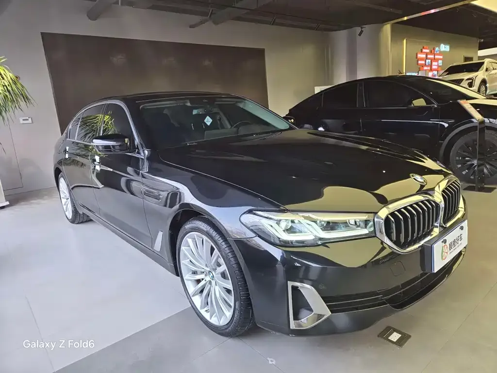 BMW 5 Series 2021 из CN, фото 4