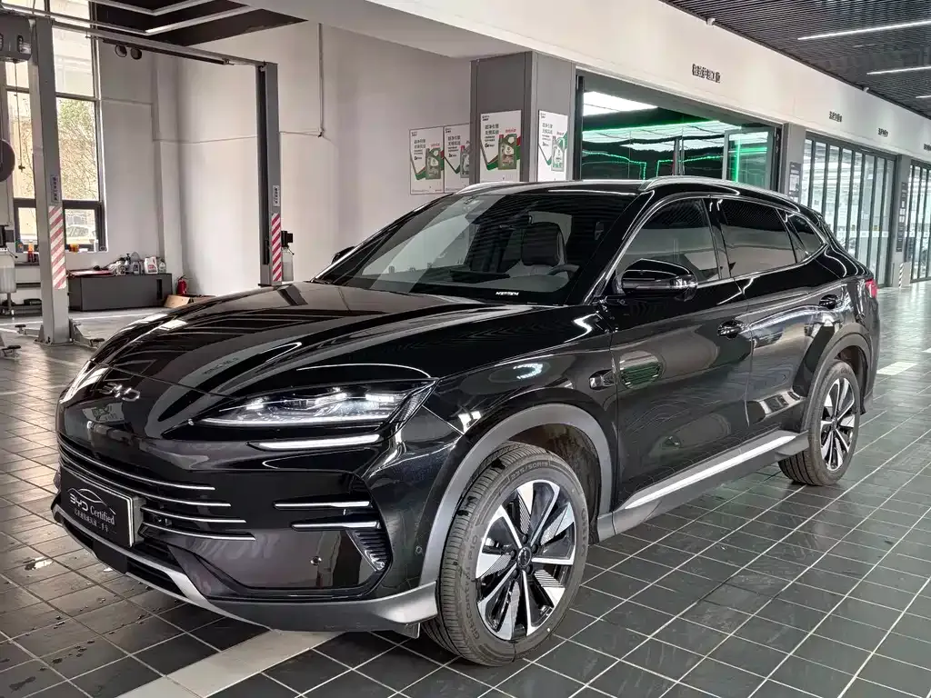 BYD PLUS New Energy 2025 из CN, фото 1
