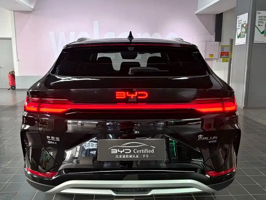 BYD PLUS New Energy 2025 из CN, фото 10
