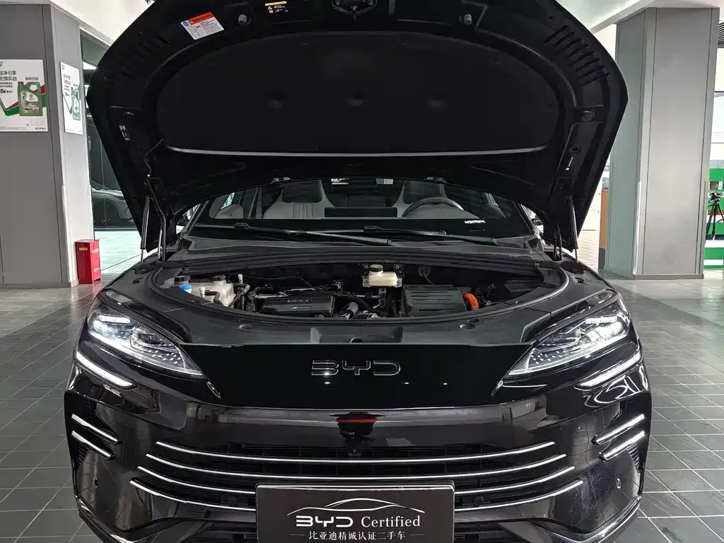 BYD PLUS New Energy 2025 из CN, фото 2