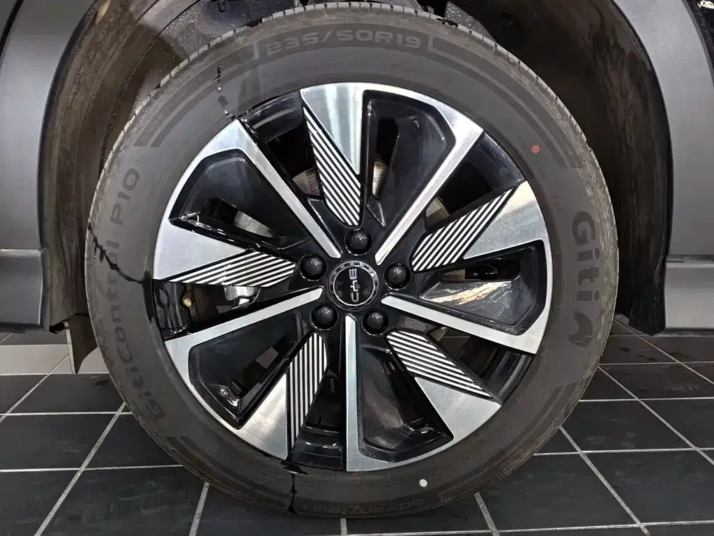 BYD PLUS New Energy 2025 из CN, фото 4