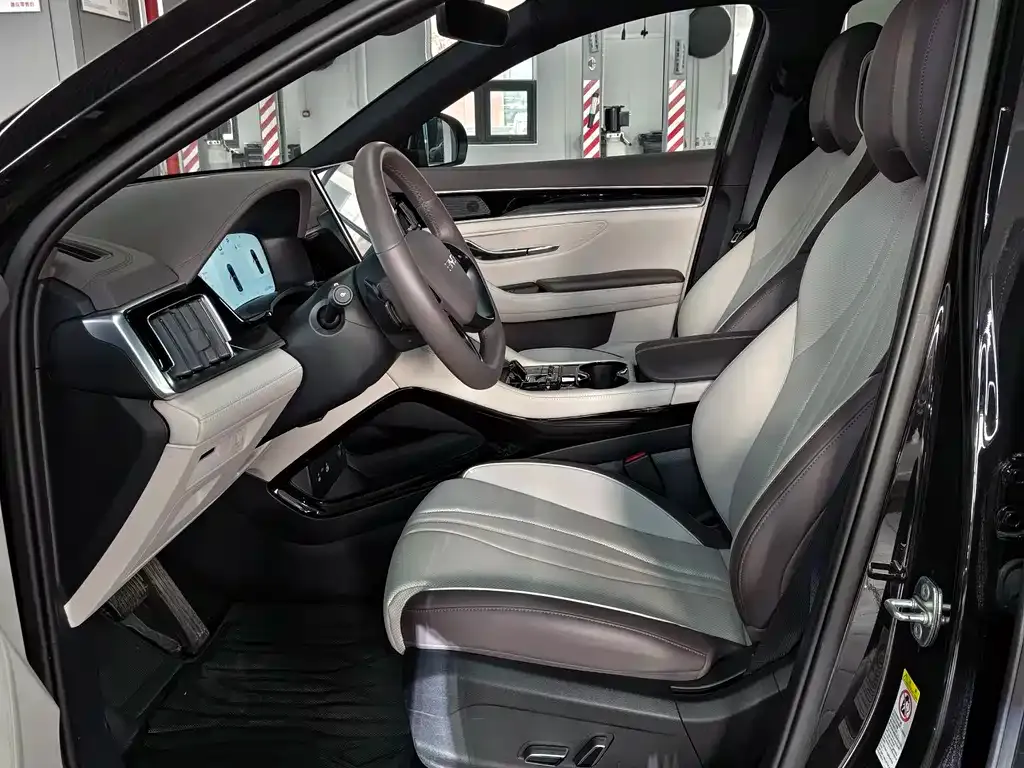 BYD PLUS New Energy 2025 из CN, фото 5