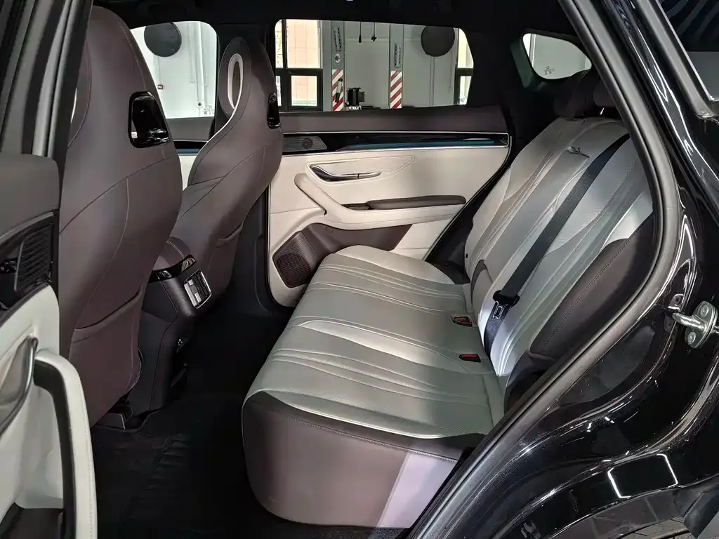 BYD PLUS New Energy 2025 из CN, фото 6