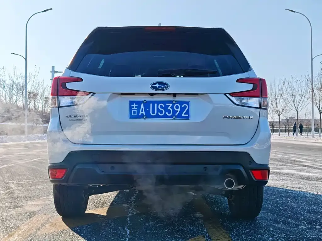 Subaru Forester 2022 из CN, фото 5