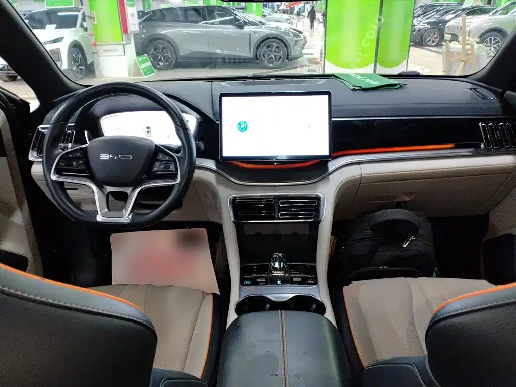 BYD PLUS New Energy 2024 из CN, фото 10