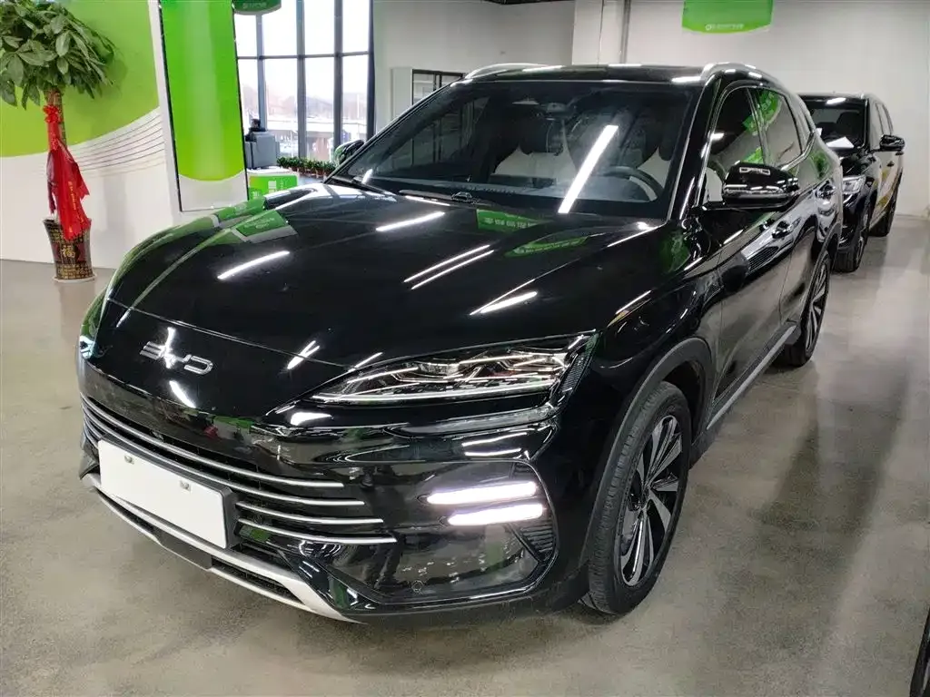 BYD PLUS New Energy 2024 из CN, фото 3