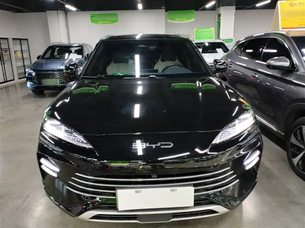 BYD PLUS New Energy 2024 из CN, фото 2