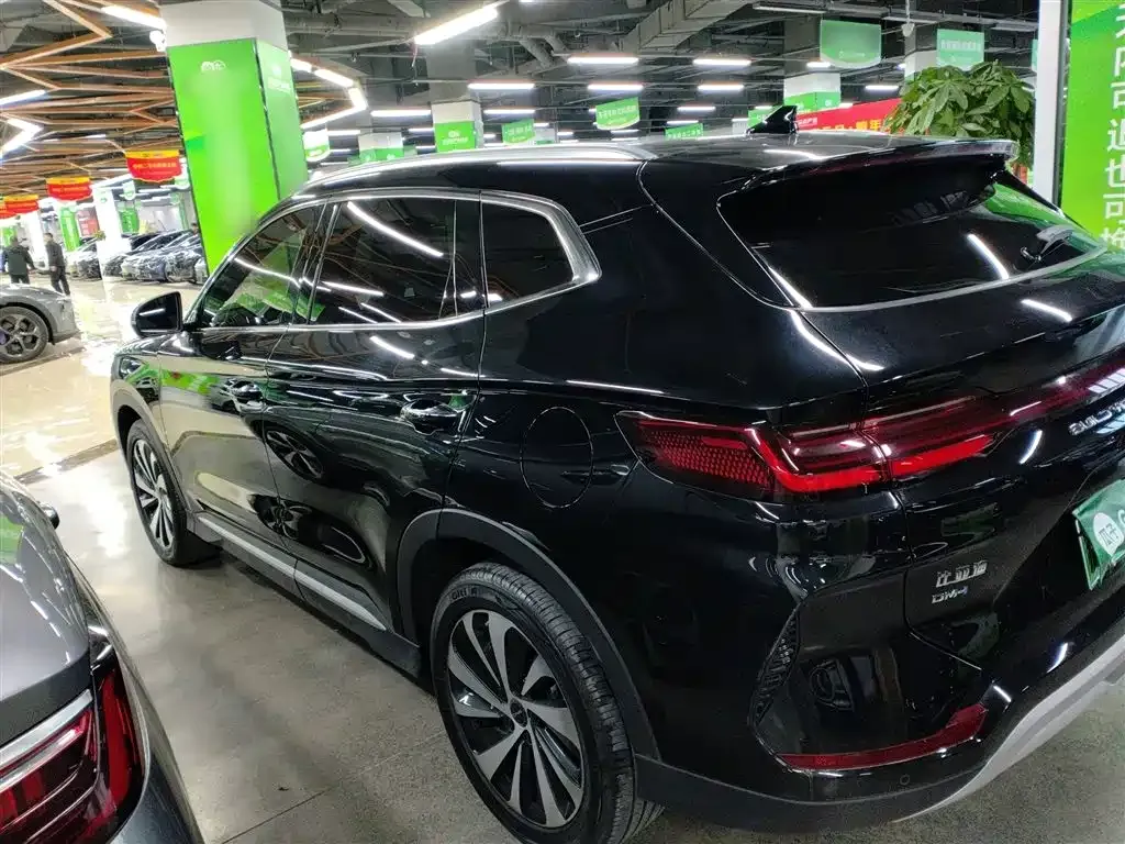BYD PLUS New Energy 2024 из CN, фото 6