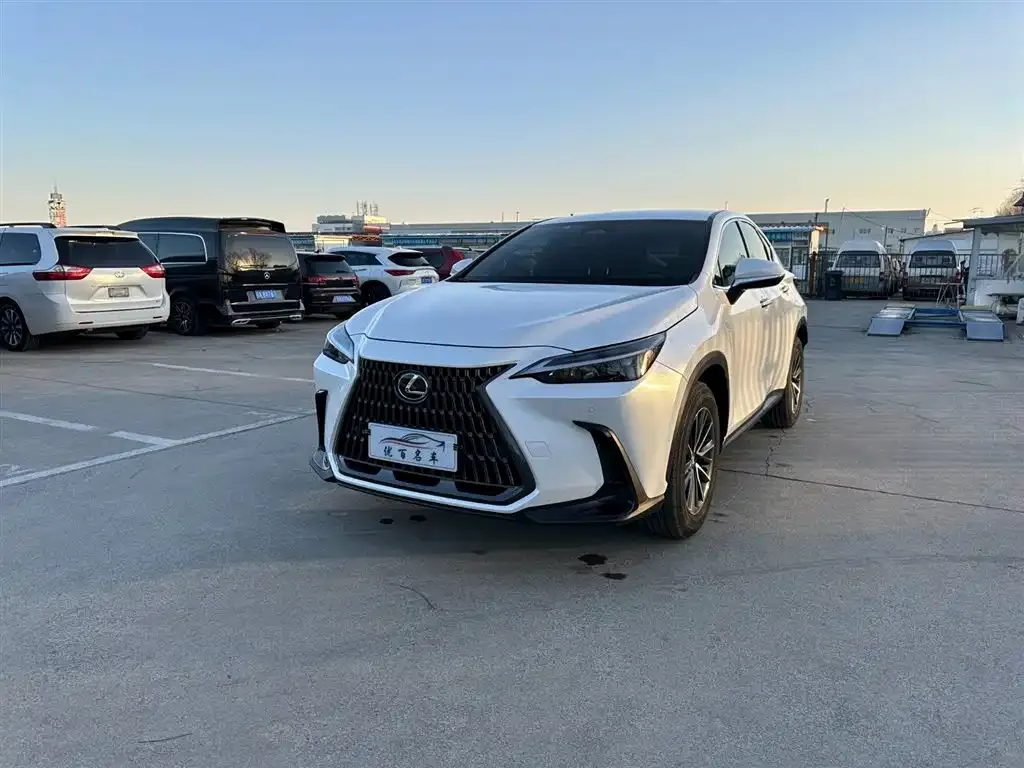 Lexus NX 2024 из CN, фото 1