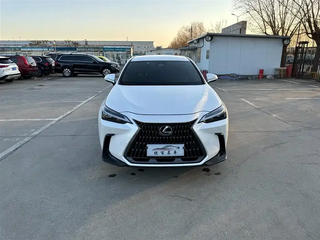 Lexus NX 2024 из CN, фото 4