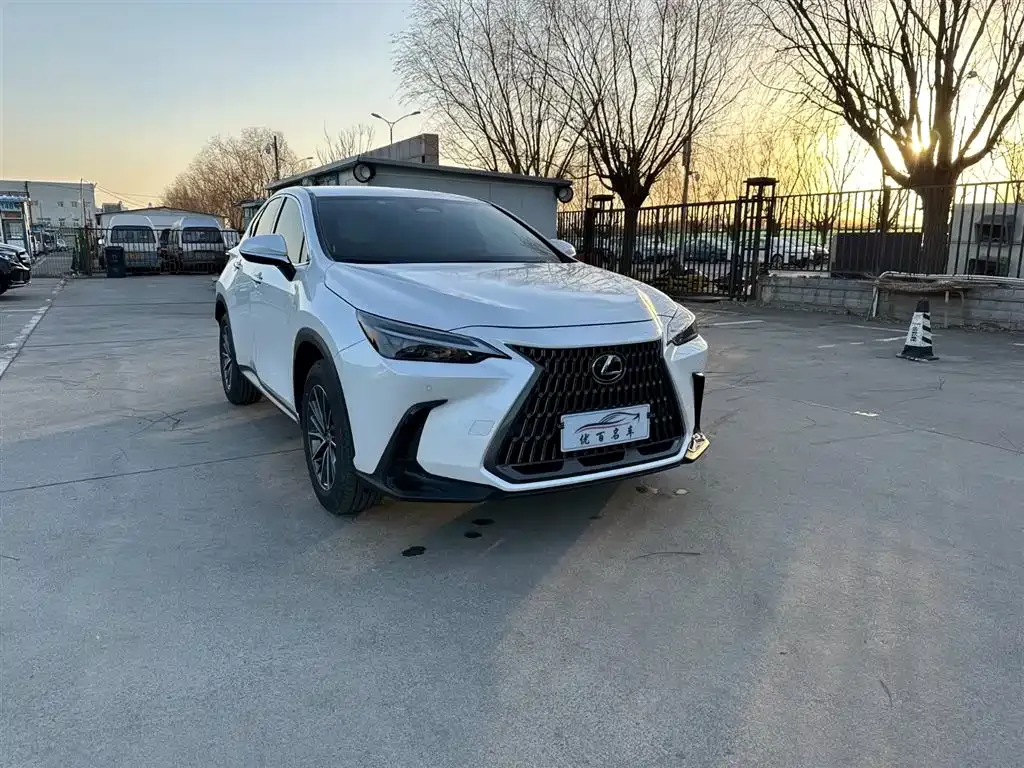 Lexus NX 2024 из CN, фото 5