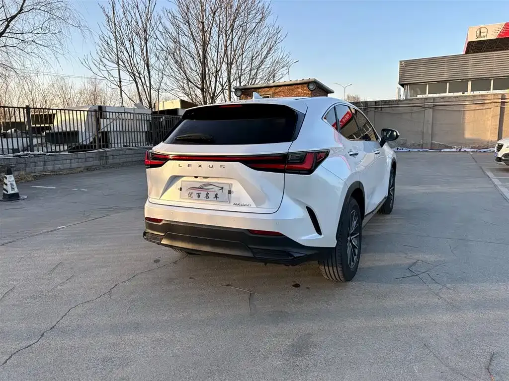 Lexus NX 2024 из CN, фото 9