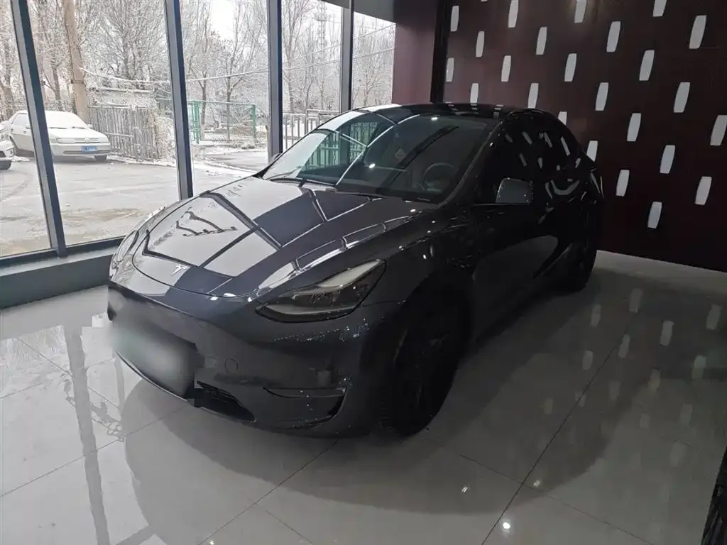 Tesla Model Y 2021 из CN, фото 2
