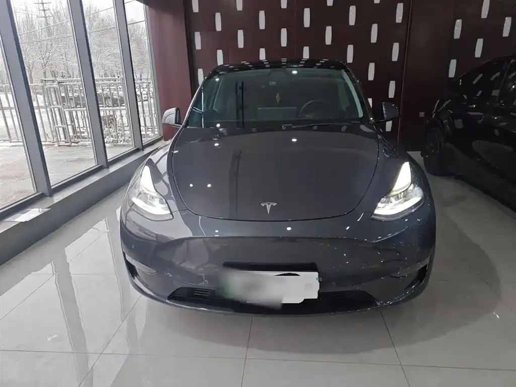 Tesla Model Y 2021 из CN, фото 3