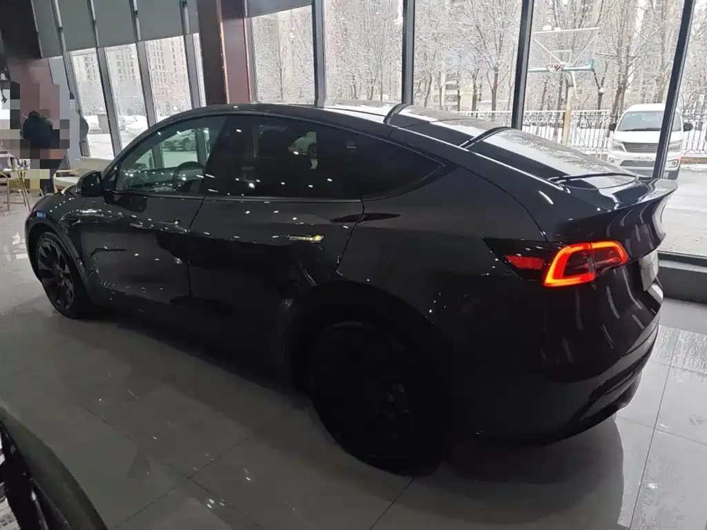 Tesla Model Y 2021 из CN, фото 5