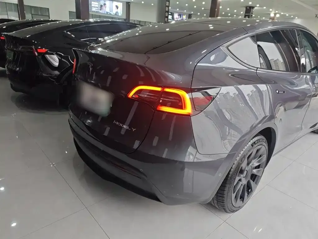 Tesla Model Y 2021 из CN, фото 6
