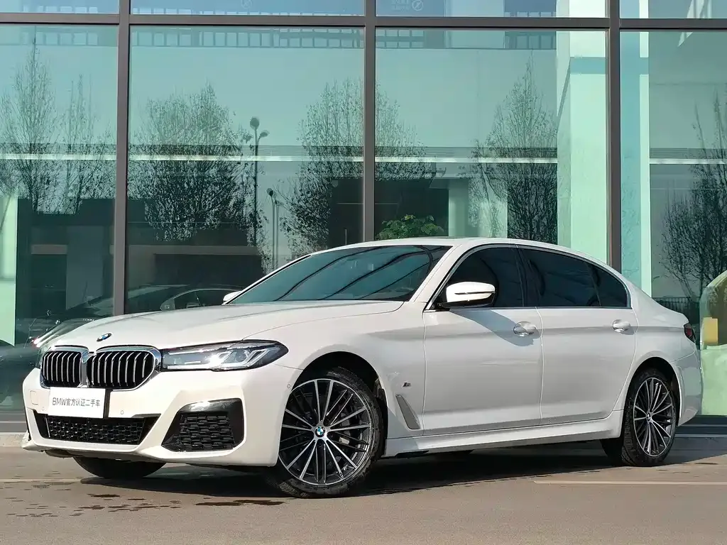 BMW 5 Series 2021 из CN, фото 1