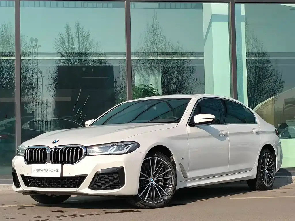BMW 5 Series 2021 из CN, фото 8