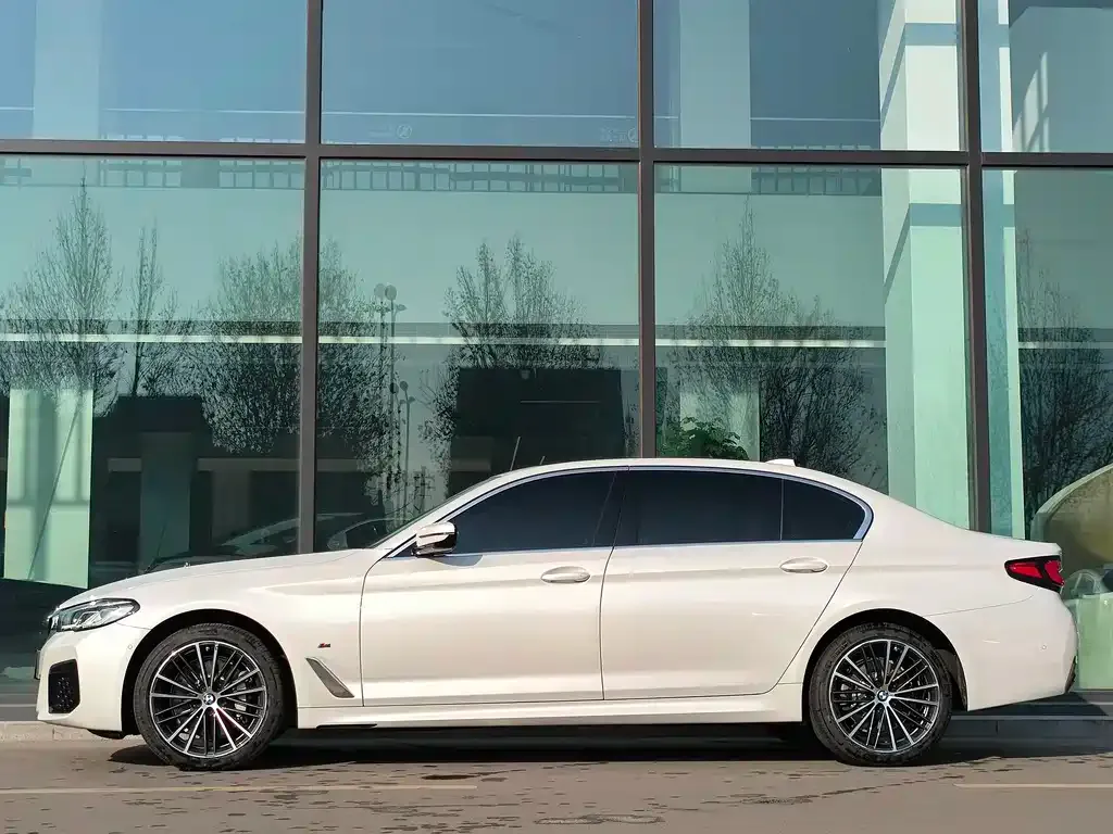 BMW 5 Series 2021 из CN, фото 6