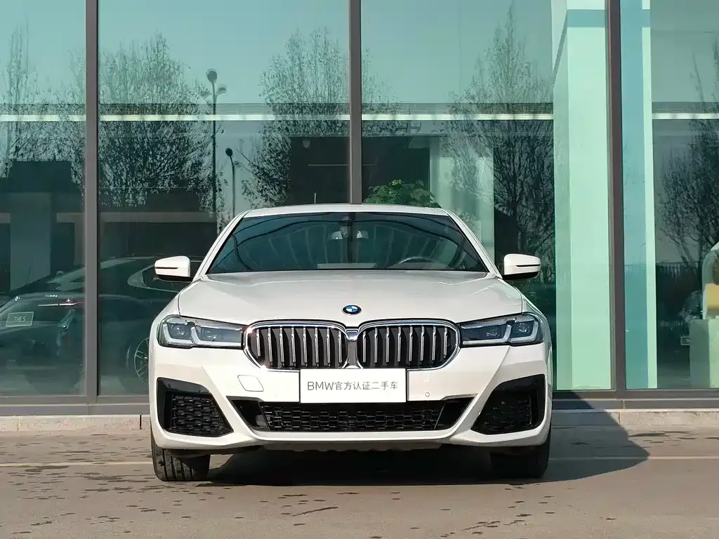 BMW 5 Series 2021 из CN, фото 3