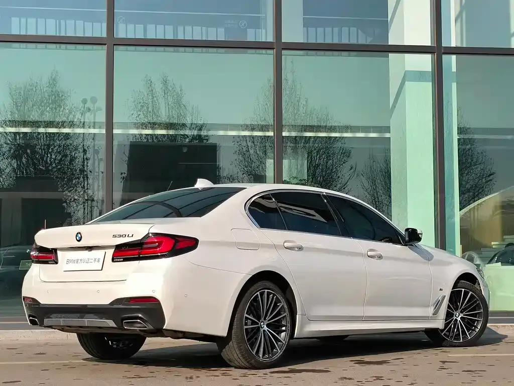 BMW 5 Series 2021 из CN, фото 10