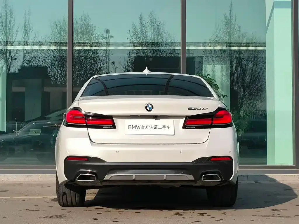 BMW 5 Series 2021 из CN, фото 9