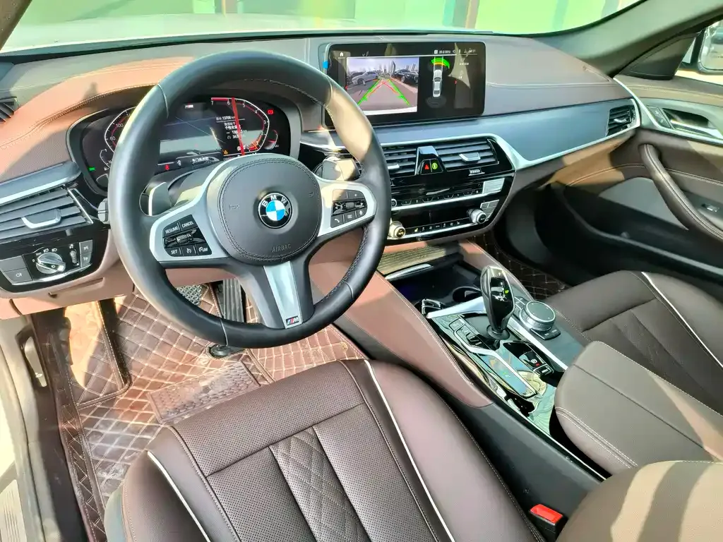 BMW 5 Series 2021 из CN, фото 7