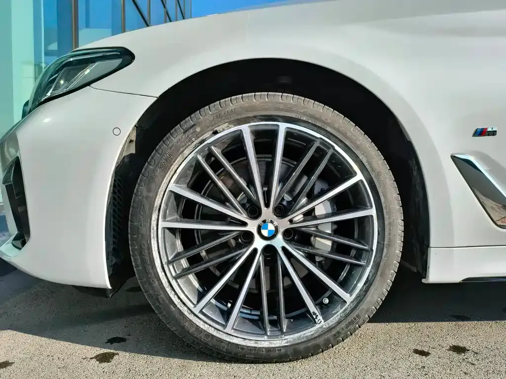 BMW 5 Series 2021 из CN, фото 4