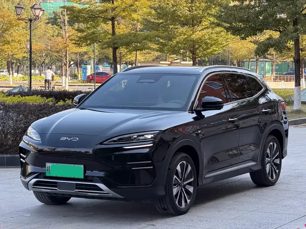 BYD PLUS New Energy 2025 из CN, фото 1