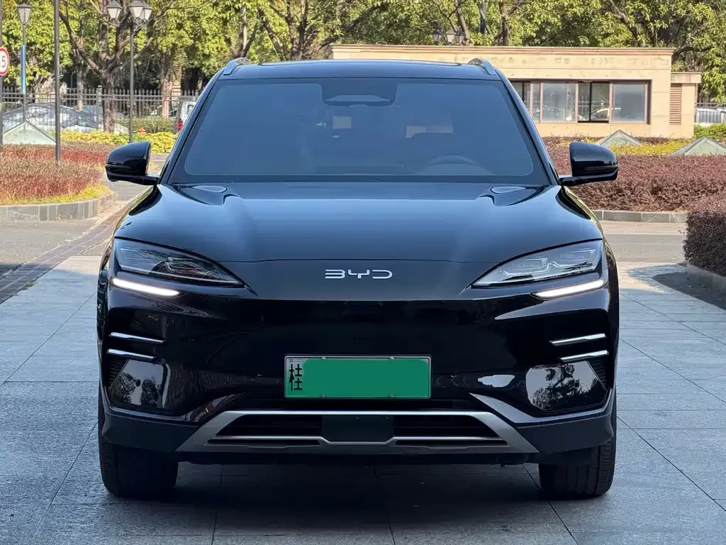 BYD PLUS New Energy 2025 из CN, фото 10