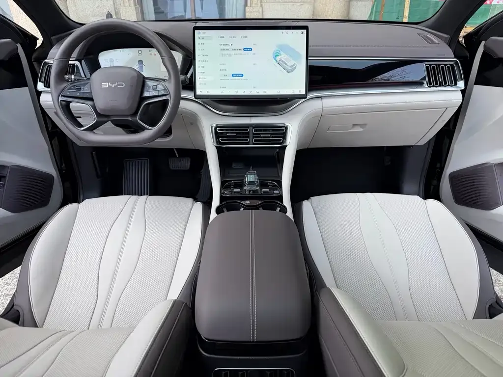 BYD PLUS New Energy 2025 из CN, фото 3