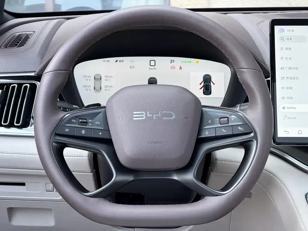 BYD PLUS New Energy 2025 из CN, фото 6