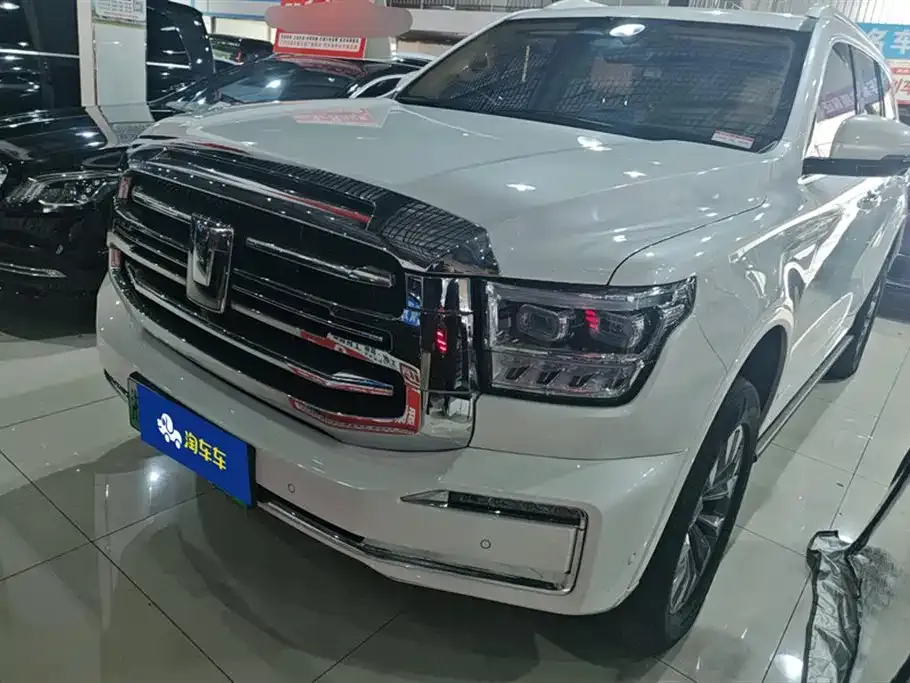 Tank 500 New Energy 2024 из CN, фото 1