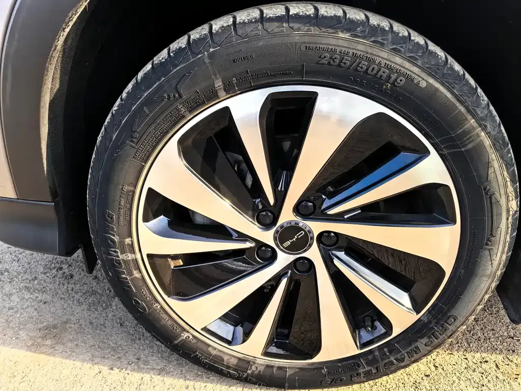 BYD PLUS New Energy 2023 из CN, фото 3