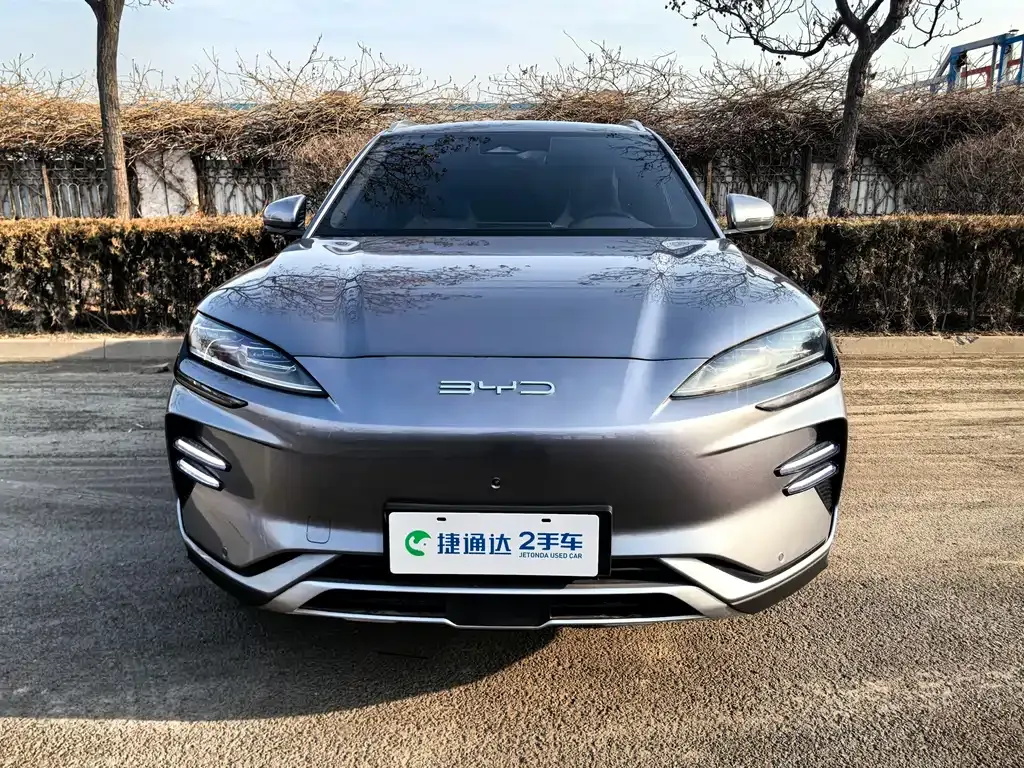 BYD PLUS New Energy 2023 из CN, фото 6