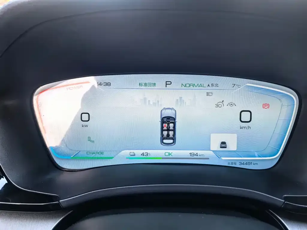 BYD PLUS New Energy 2023 из CN, фото 2