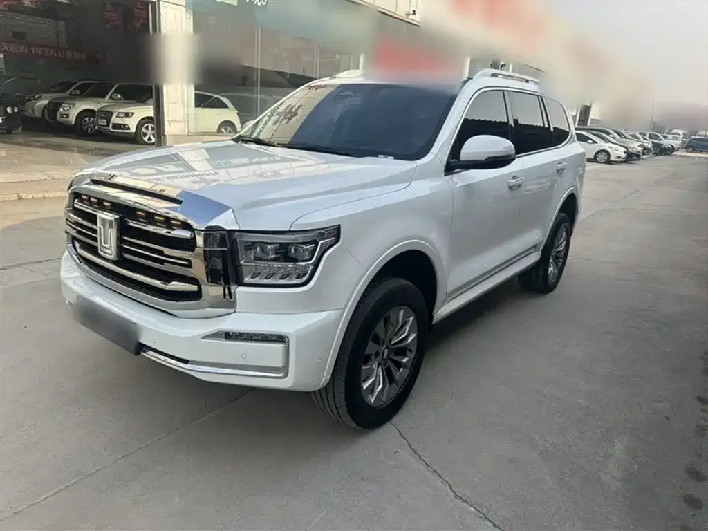Tank 500 New Energy 2024 из CN, фото 1