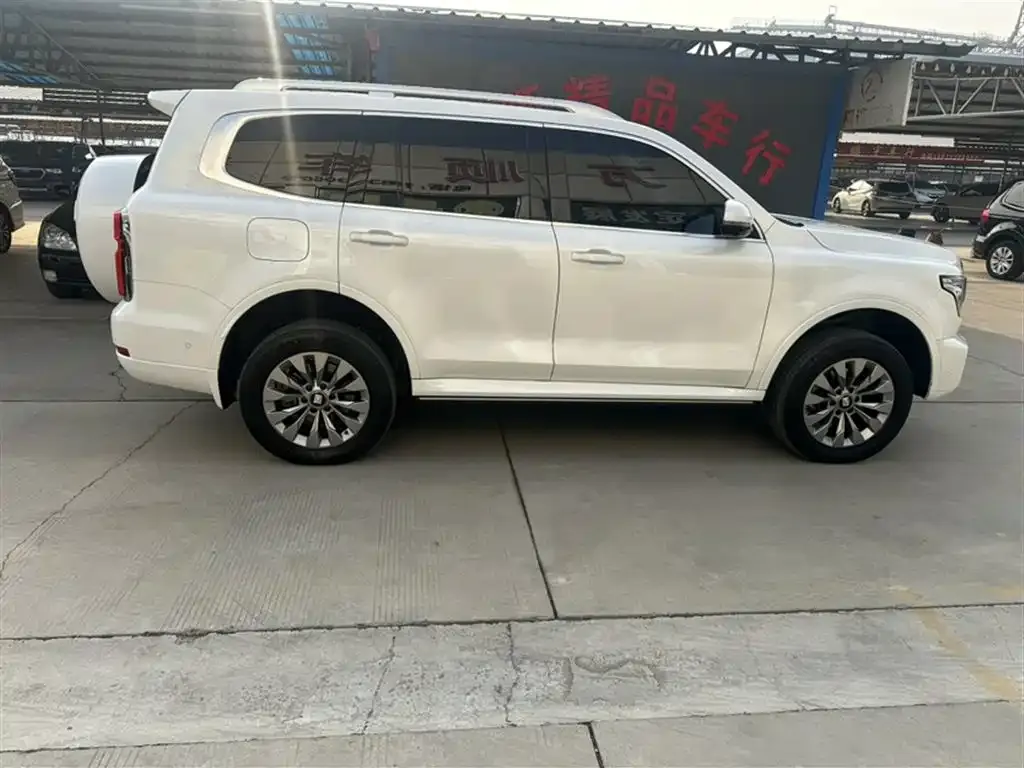 Tank 500 New Energy 2024 из CN, фото 9