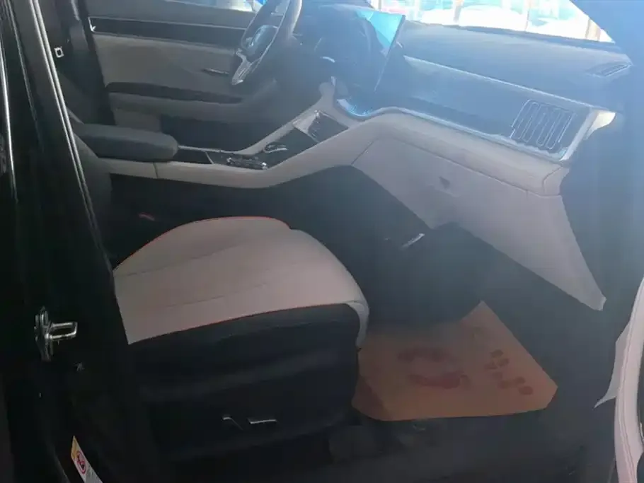 BYD PLUS New Energy 2022 из CN, фото 8