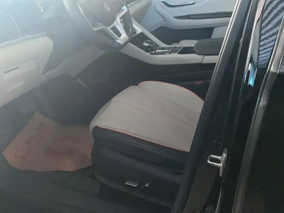 BYD PLUS New Energy 2022 из CN, фото 2